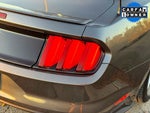 2015 Mustang Thumbnail 10