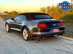 2015 Mustang Thumbnail 13