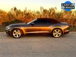 2015 Mustang Thumbnail 14