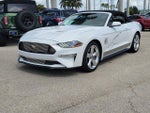 2019 Mustang Thumbnail 3