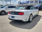 2019 Mustang Thumbnail 6