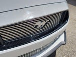 2019 Mustang Thumbnail 7