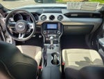 2019 Mustang Thumbnail 17