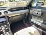 2019 Mustang Thumbnail 20