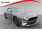 2019 Mustang Thumbnail 1