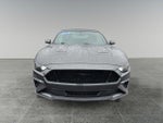2019 Mustang Thumbnail 2