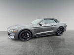2019 Mustang Thumbnail 3