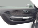 2019 Mustang Thumbnail 5