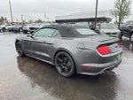2019 Mustang Thumbnail 21