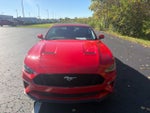 2023 Mustang Thumbnail 6