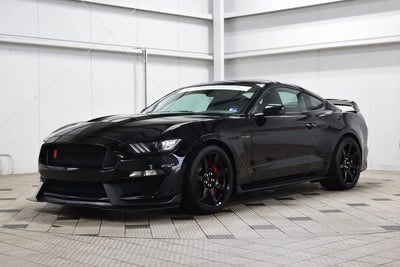 2017 Ford Mustang Shelby GT350R 2DR Fastback