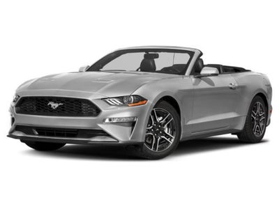 Photo of a 2019 Ford Mustang Ecoboost Premium 2DR Convertible for sale