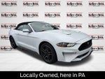 2019 Mustang Thumbnail 1