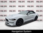 2019 Mustang Thumbnail 3