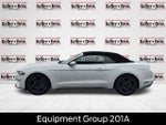 2019 Mustang Thumbnail 4