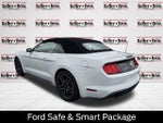 2019 Mustang Thumbnail 5