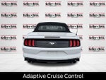 2019 Mustang Thumbnail 6