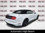 2019 Mustang Thumbnail 7