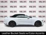 2019 Mustang Thumbnail 8