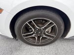 2019 Mustang Thumbnail 10