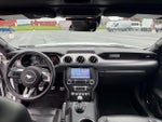 2019 Mustang Thumbnail 14