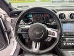 2019 Mustang Thumbnail 15