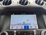 2019 Mustang Thumbnail 18