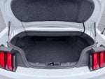 2019 Mustang Thumbnail 20
