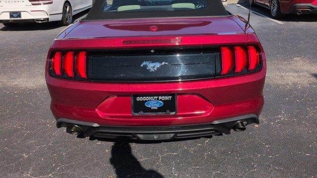 2019 Ford Mustang EcoBoost