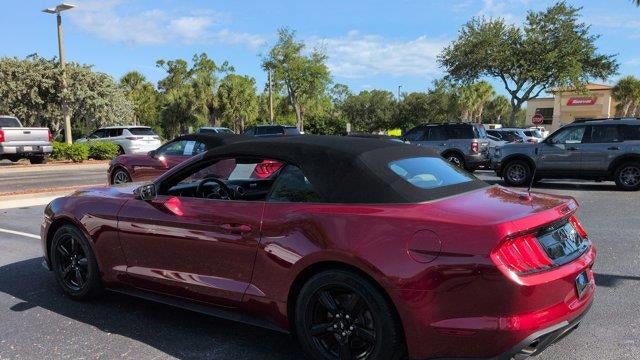 2019 Ford Mustang EcoBoost
