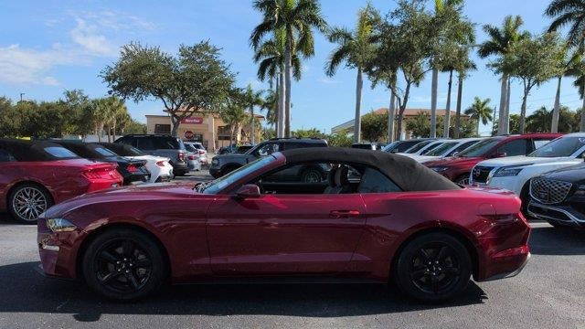 2019 Ford Mustang EcoBoost