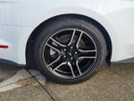 2020 Mustang Thumbnail 5
