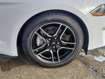 2020 Mustang Thumbnail 7