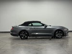 2022 Mustang Thumbnail 8