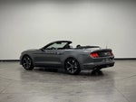 2022 Mustang Thumbnail 13