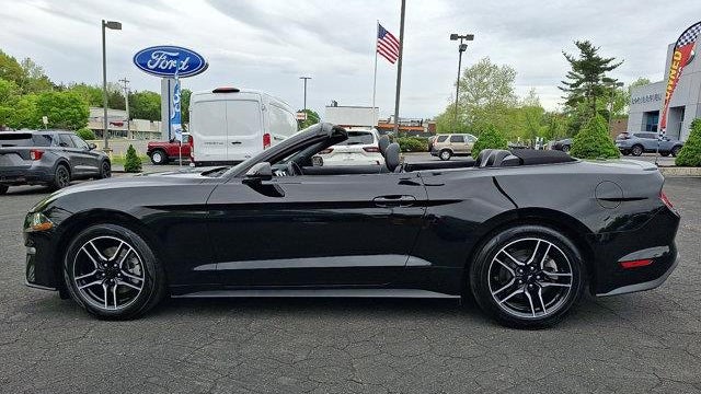 2023 Ford Mustang EcoBoost