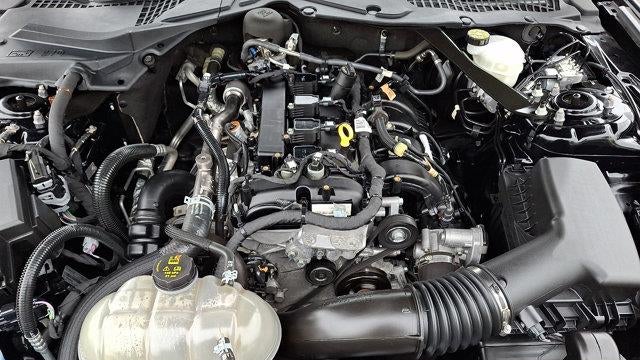 2023 Ford Mustang EcoBoost