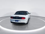2023 Mustang Thumbnail 6