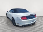 2023 Mustang Thumbnail 4