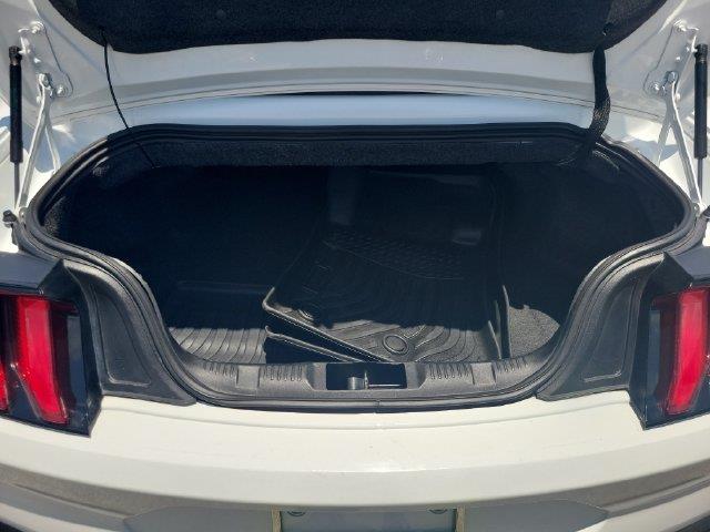 2023 Ford Mustang - $19,994