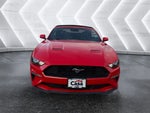 2023 Mustang Thumbnail 19