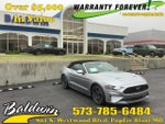 2023 Mustang Thumbnail 1