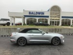 2023 Mustang Thumbnail 8