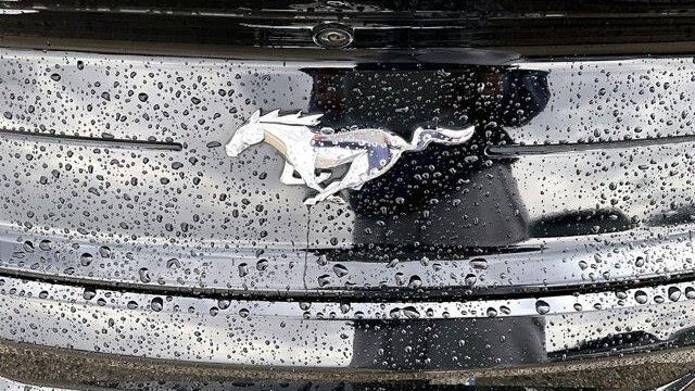 2023 Ford Mustang EcoBoost