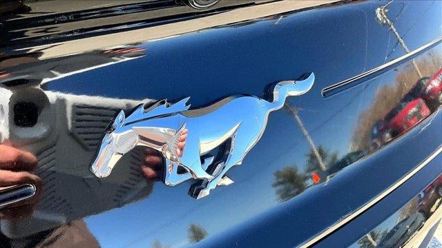 2023 Ford Mustang EcoBoost