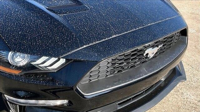 2023 Ford Mustang EcoBoost