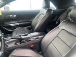 2023 Mustang Thumbnail 19