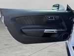 2016 Mustang Thumbnail 16