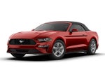 2019 Mustang Thumbnail 6