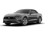 2019 Mustang Thumbnail 1